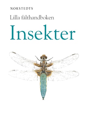 Insekter i färg