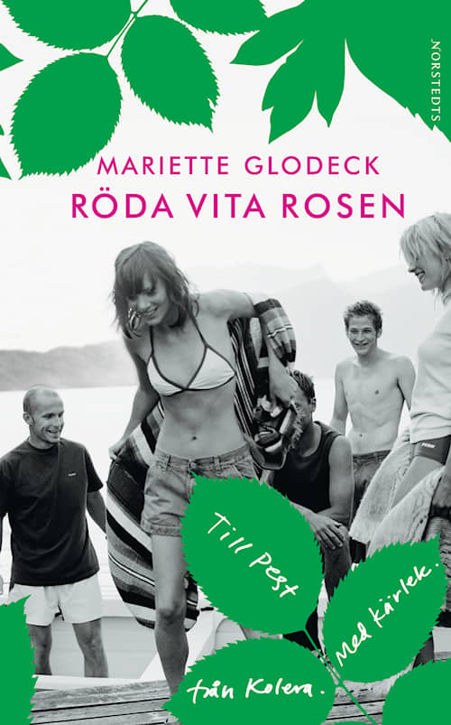 Röda Vita Rosen