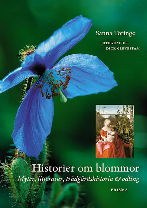 Historier om blommor