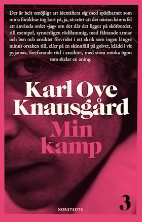 Min kamp 3
