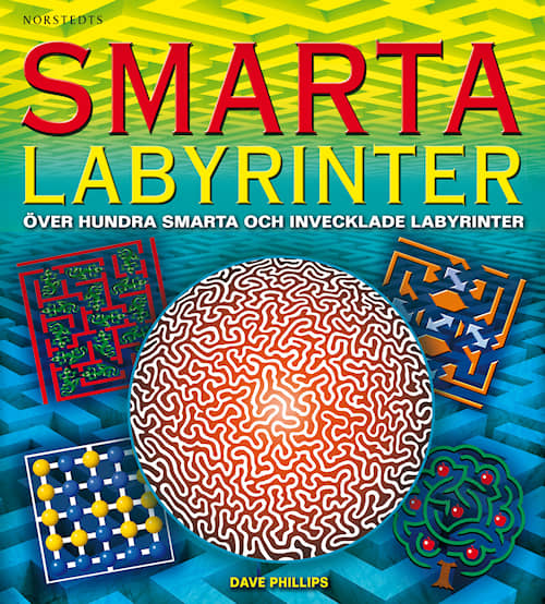 Smarta labyrinter