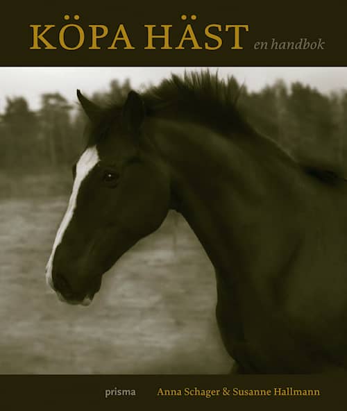 Köpa häst - en handbok