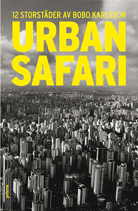 Urban Safari