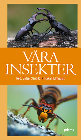 Våra insekter