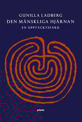 Den mänskliga hjärnan - en upptäcktsfärd