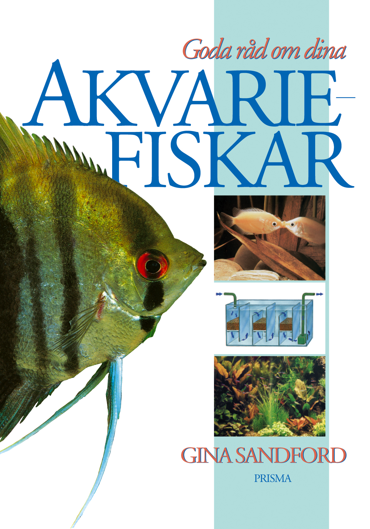 Goda råd om dina akvariefiskar