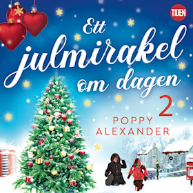 Ett julmirakel om dagen - del 1