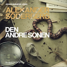 Den andre sonen