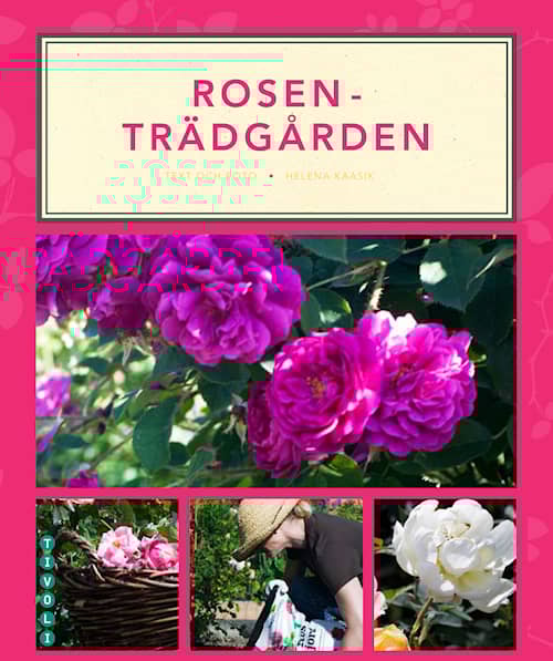 Rosenträdgården