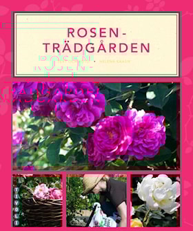 Rosenträdgården