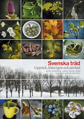 Svenska träd