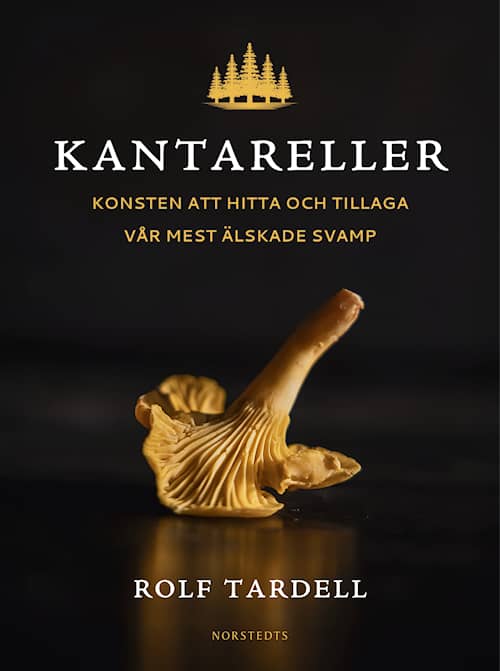 Kantareller