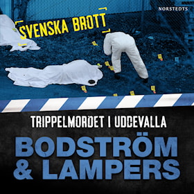 Svenska brott - Trippelmordet i Uddevalla