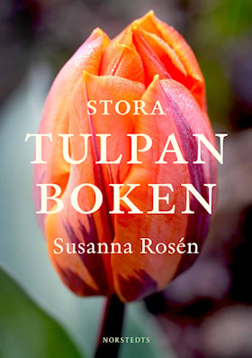 Stora tulpanboken