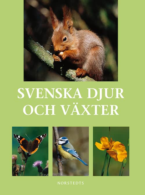 Svenska djur och växter