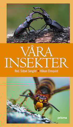 Våra insekter