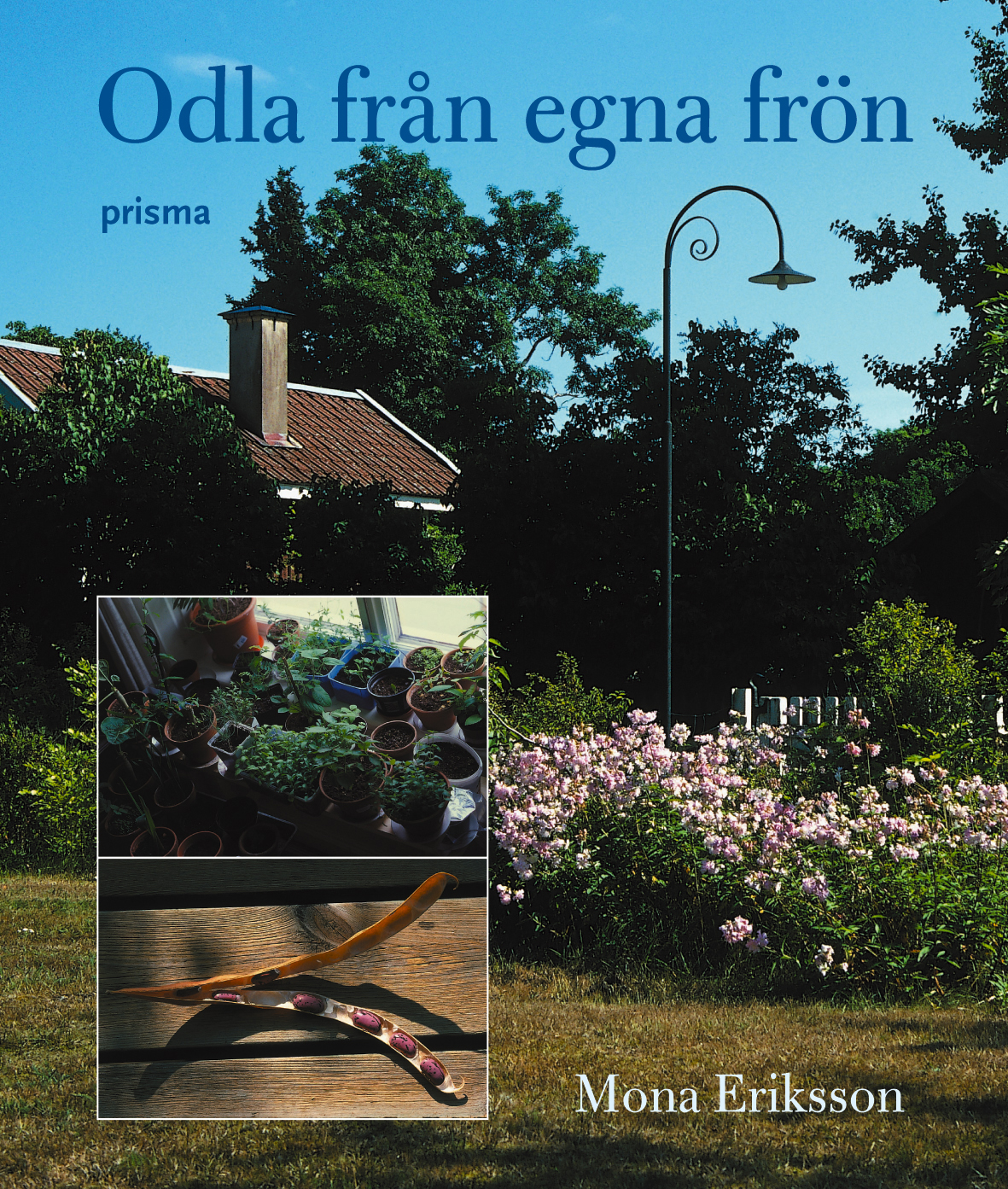 Odla från egna frön