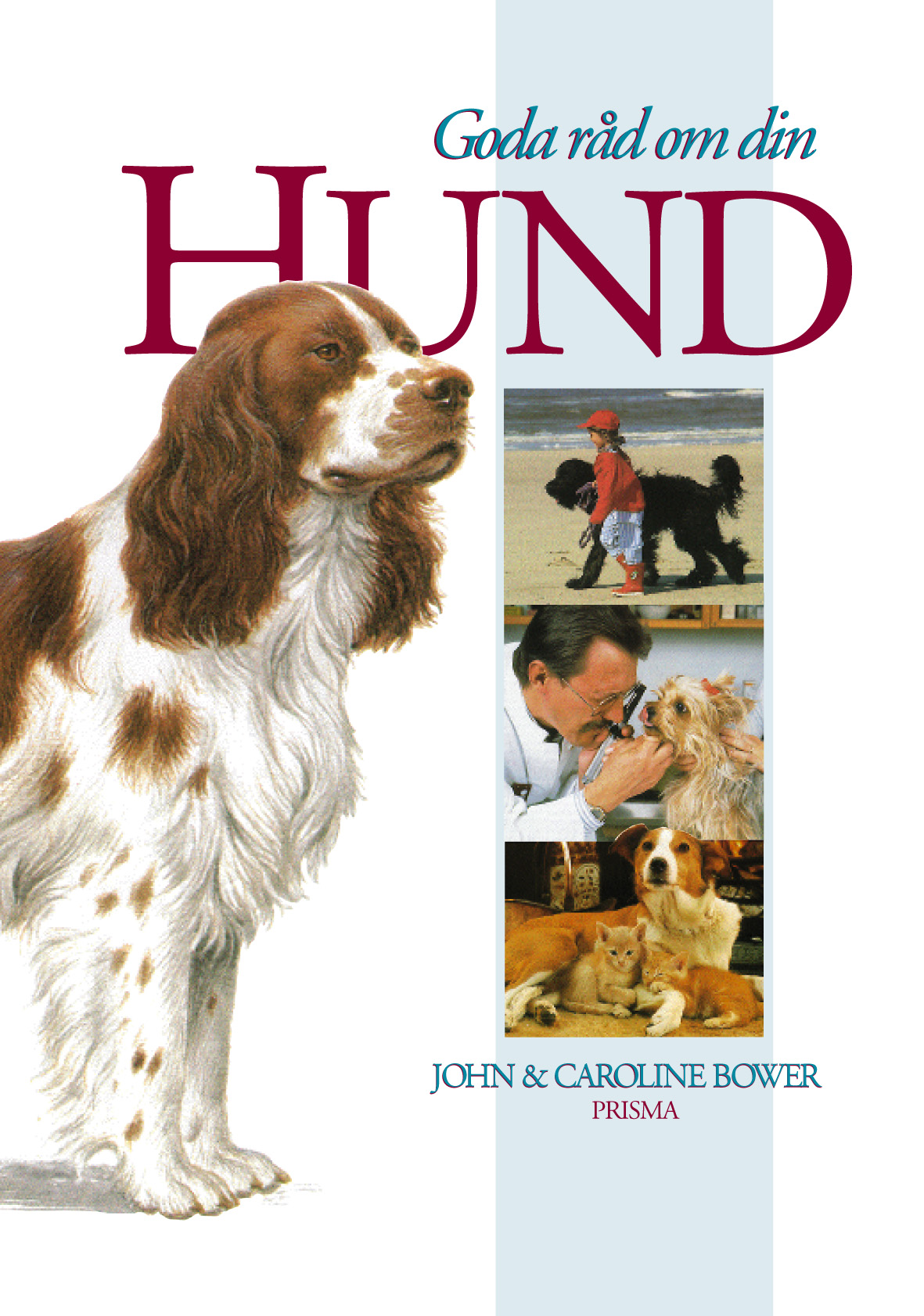 Goda råd om din hund