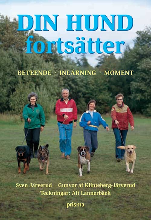 Din hund fortsätter