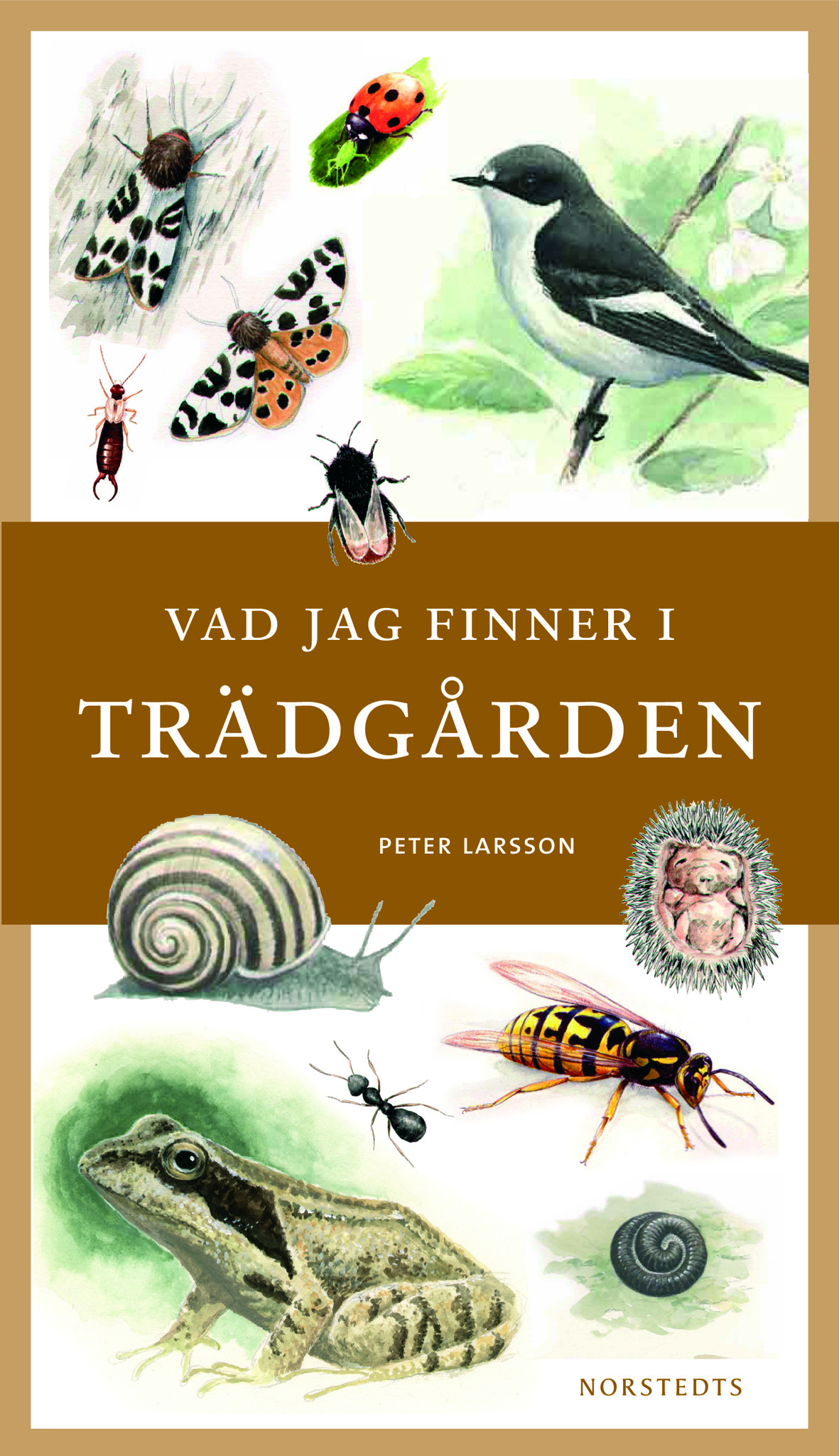 Vad jag finner i trädgården