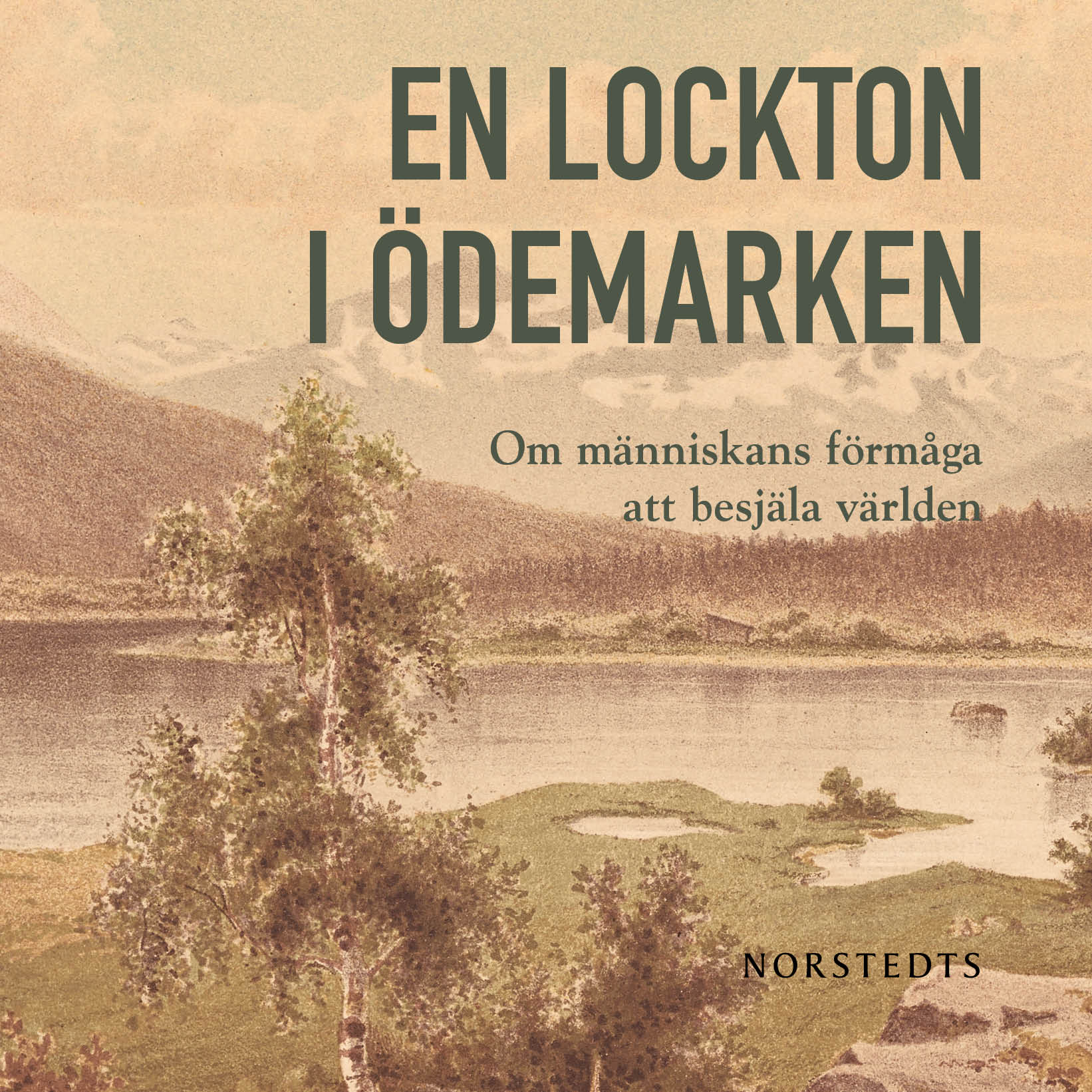 En lockton i ödemarken