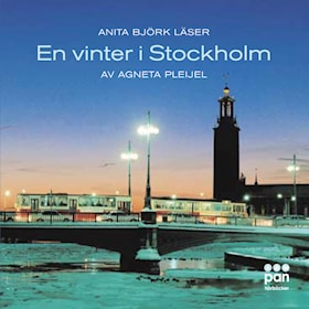 En vinter i Stockholm