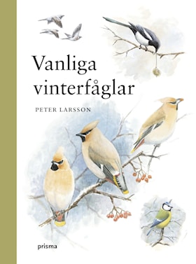 Vanliga vinterfåglar