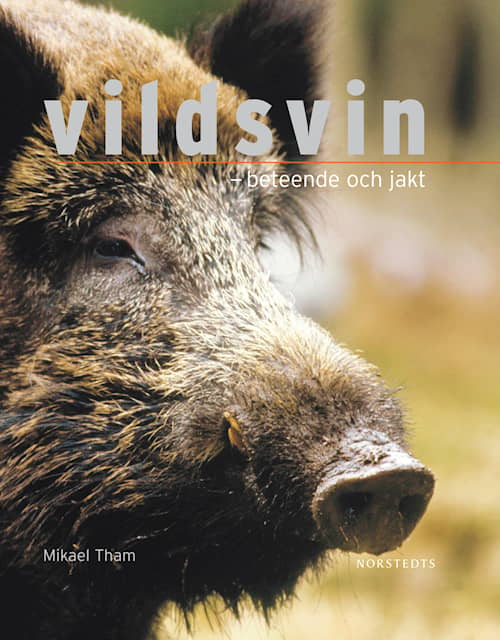 Vildsvin - beteende och jakt