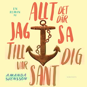 Allt det där jag sa till dig var sant