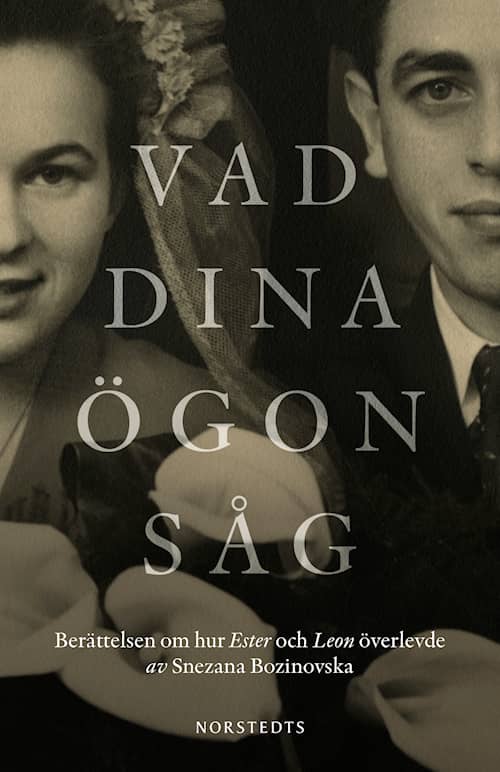 Vad dina ögon såg