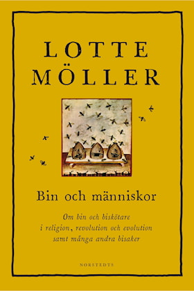 Bin och människor