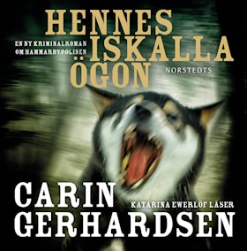 Hennes iskalla ögon