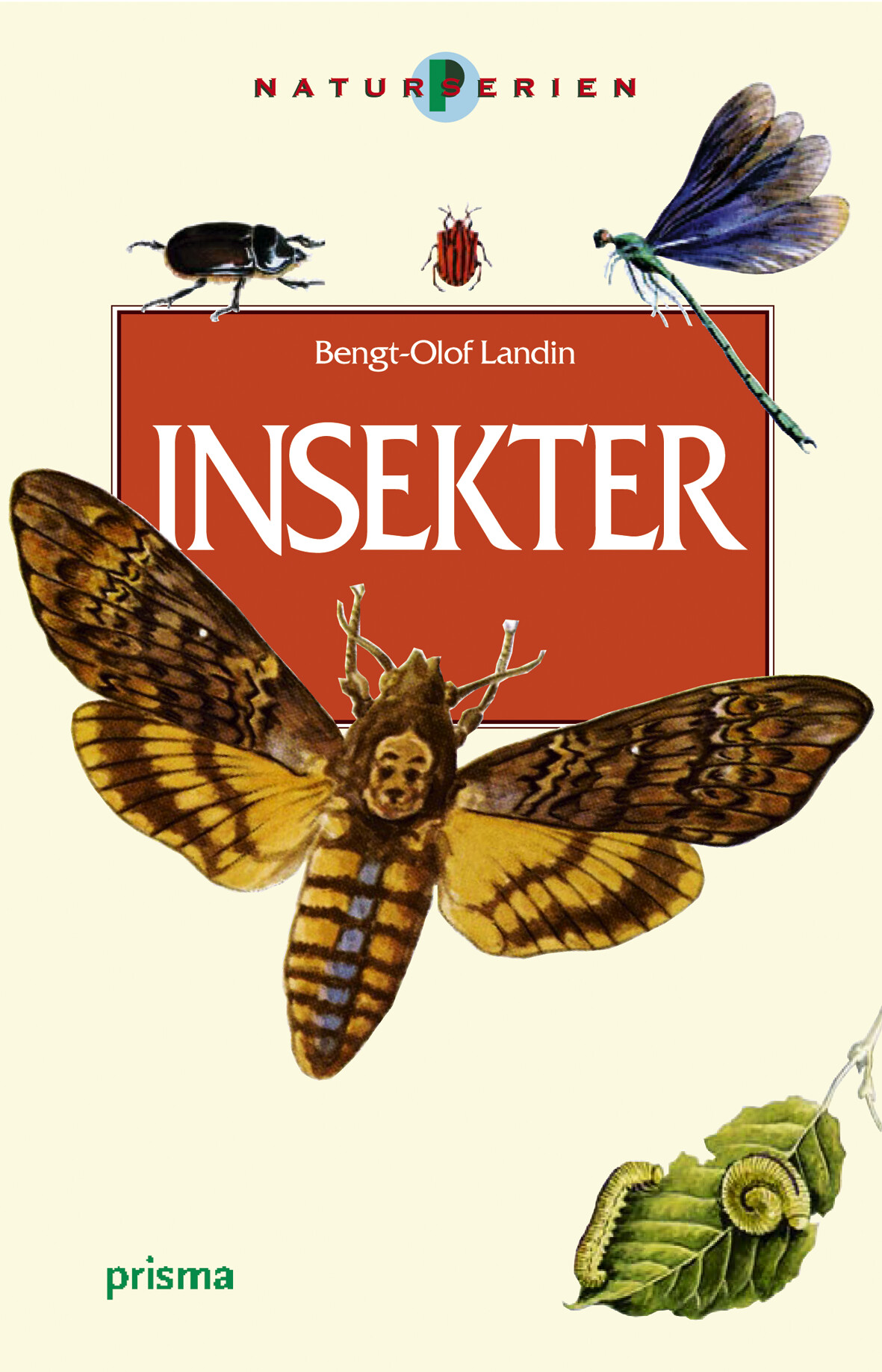 Insekter i färg