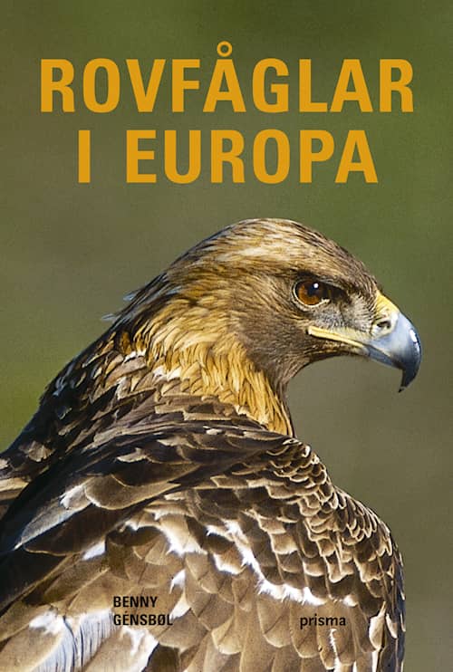 Rovfåglar i Europa