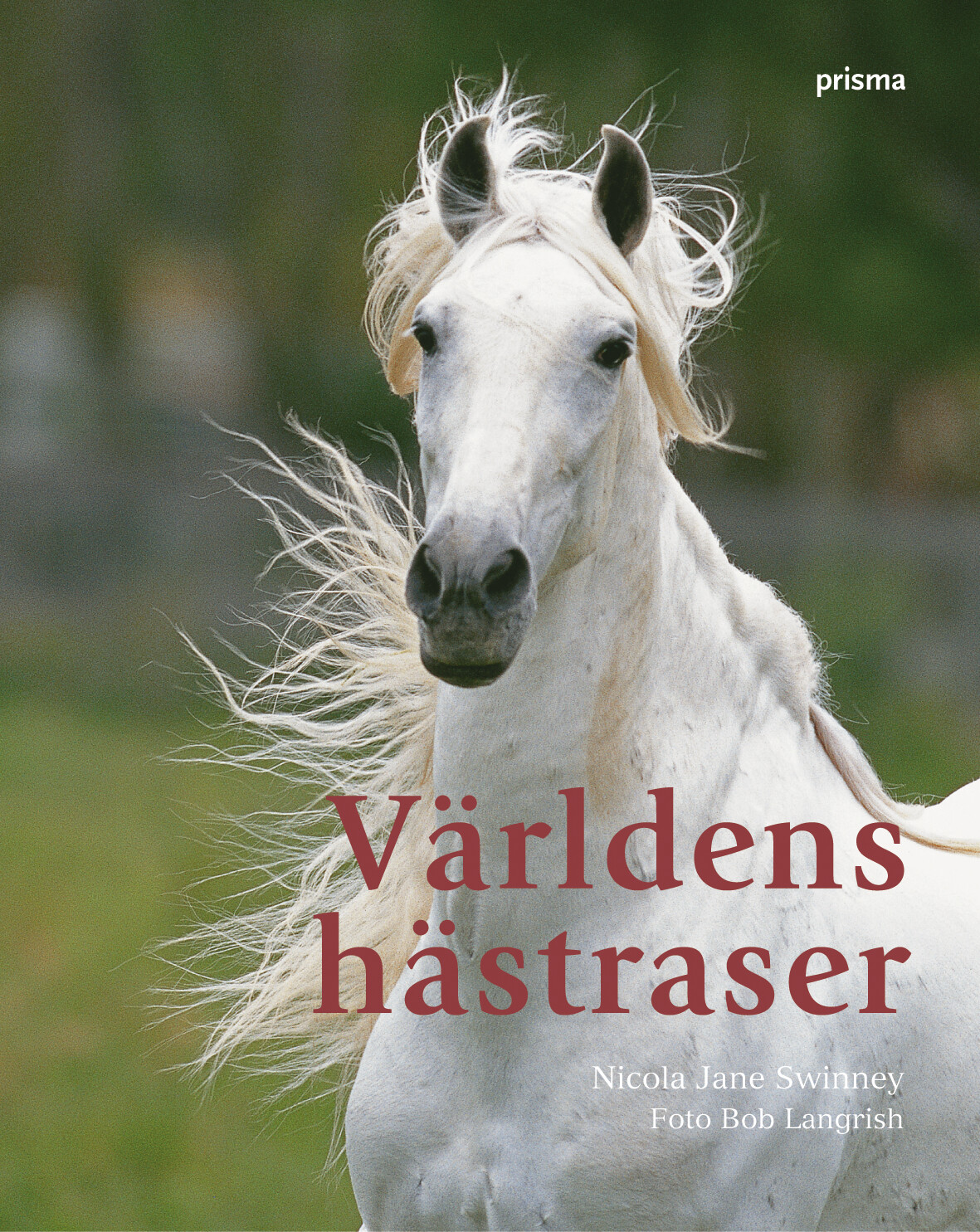 Världens hästraser
