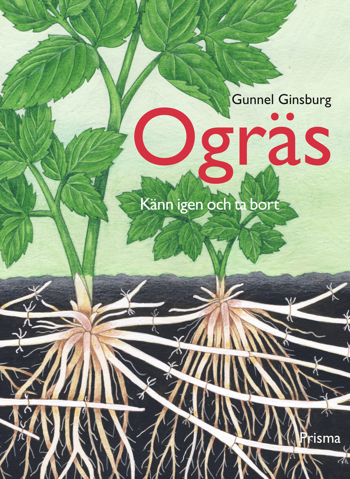 Ogräs