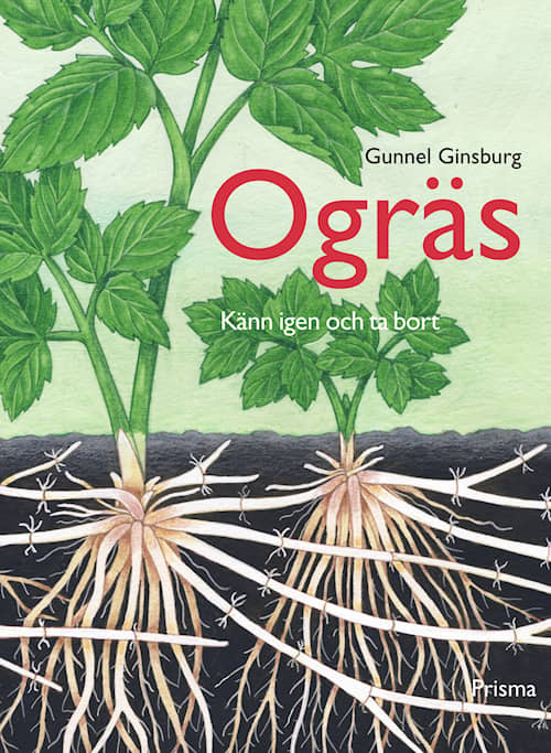 Ogräs