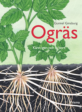 Ogräs