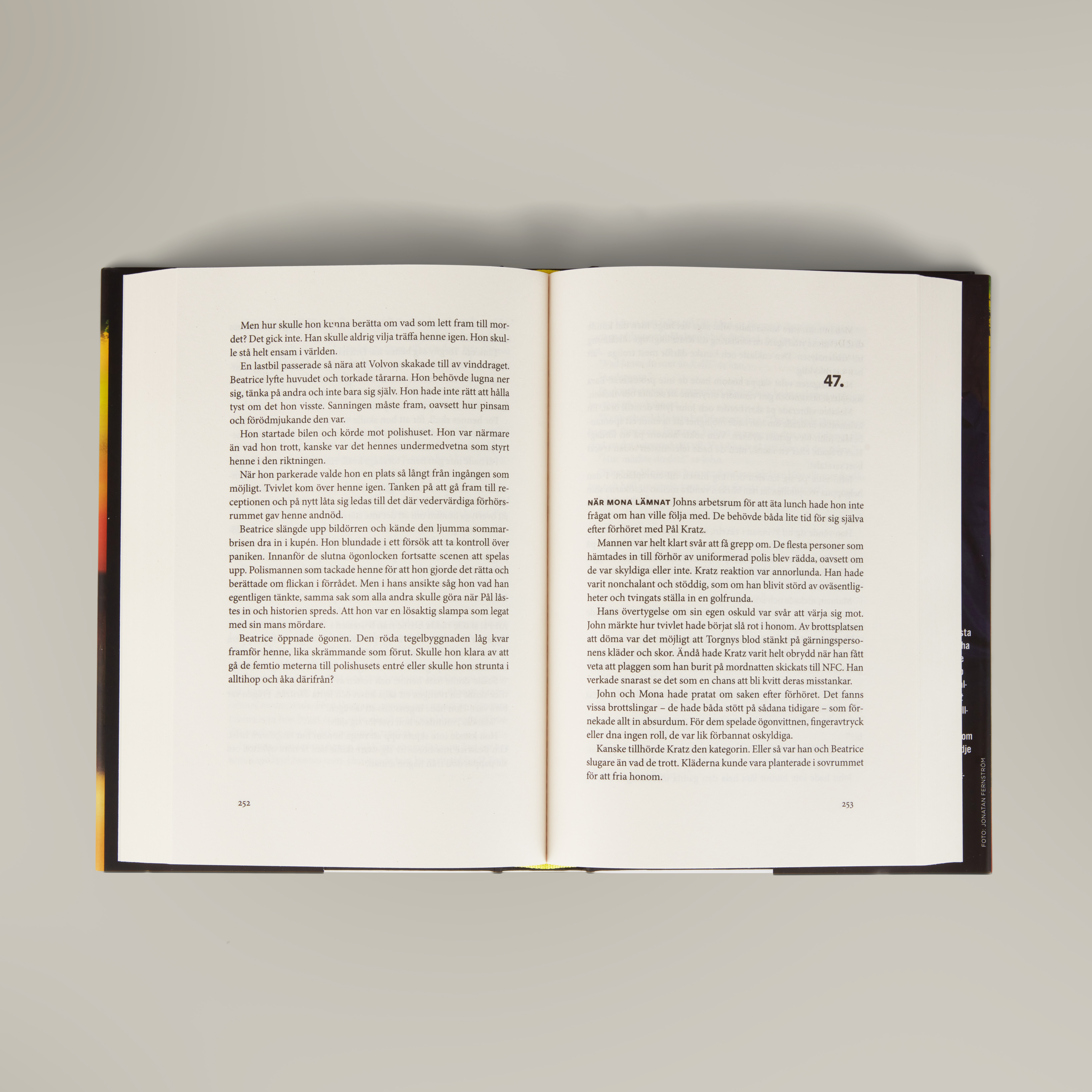 den tysta fågeln_3.jpg