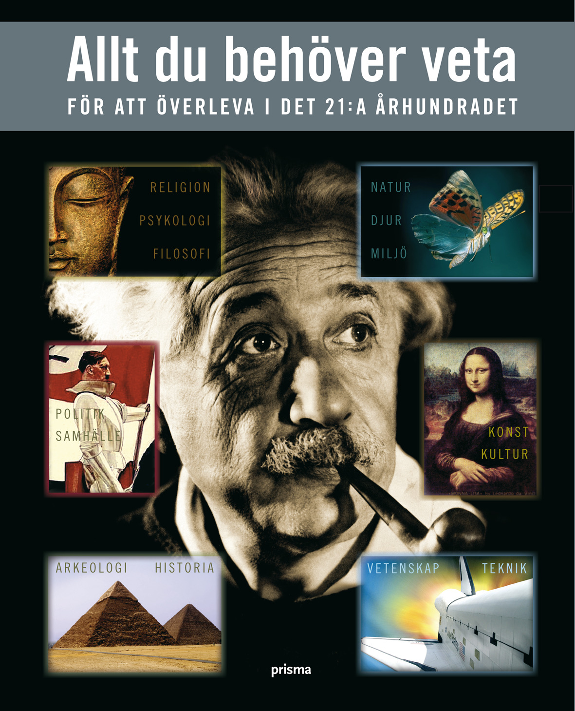 Allt du behöver veta