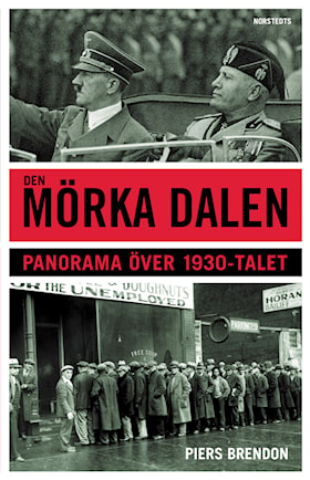 Den mörka dalen