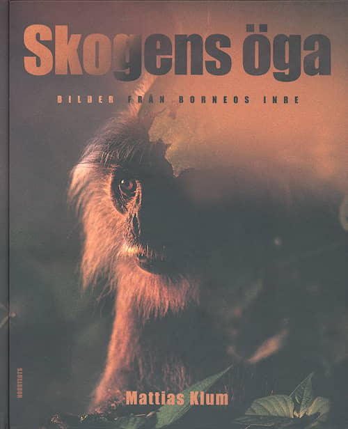 Skogens öga