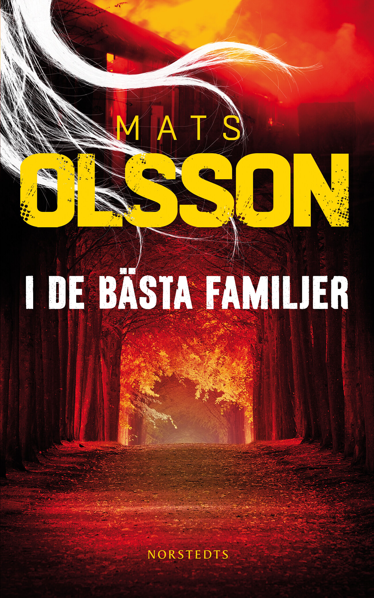 I De Bästa Familjer | Mats Olsson | Inbunden