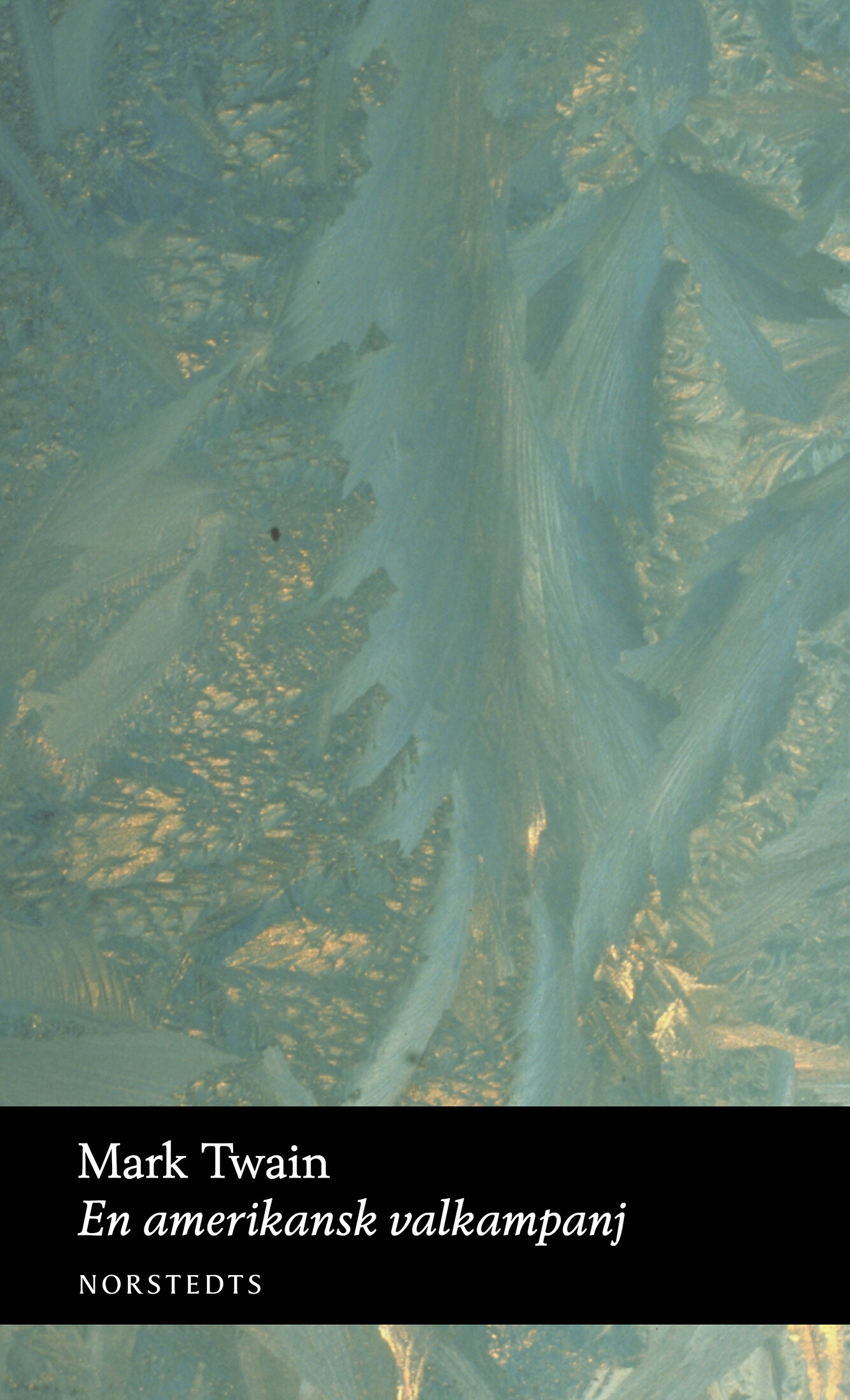 En amerikansk valkampanj