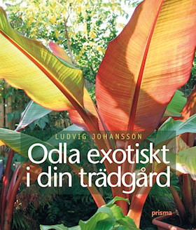 Odla exotiskt i din trädgård