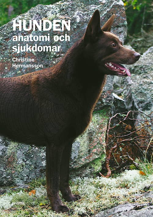 Hunden - anatomi och sjukdomar