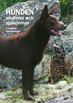 Hunden - anatomi och sjukdomar