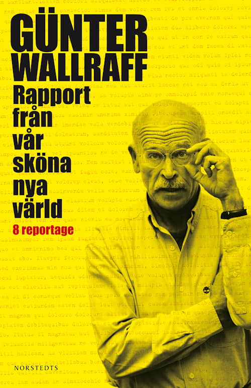 Rapport från vår sköna nya värld