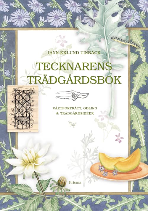 Tecknarens trädgårdsbok