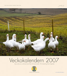 Veckokalendern 2007